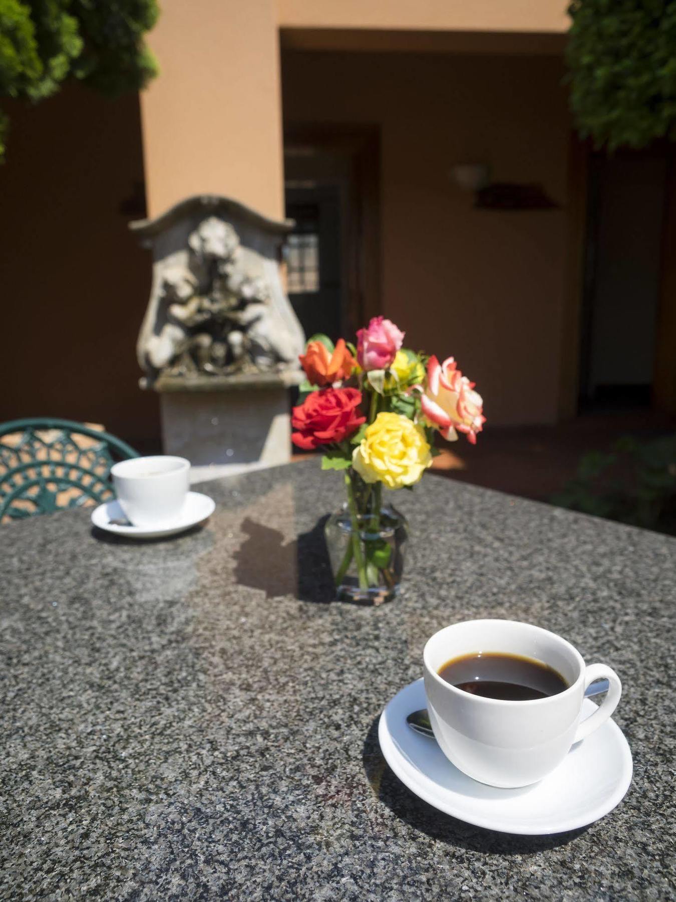 The Elegant Lodge Menlo Park Претория Экстерьер фото